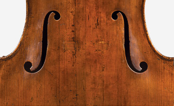 Carcassi Model Cellos closeup