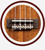 closeup of ukulele bridge