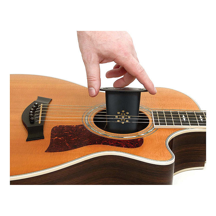 D'Addario GH Acoustic Guitar Humidifier