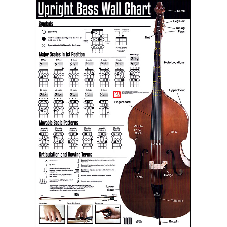 Upright Bass Wall Chart (Mel Bay)