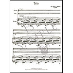 Trio, op. 150 for violin, cello, and piano; Amy Beach (Hildegard Publishing)