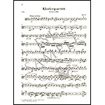 Piano Quartet in E-flat Major, Op.87, parts; Antonin Dvorak (Henle)