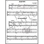 Easy Holiday Duets: 30 Easy Level Arrangements for Any Combination of String Instruments (Bass Part); Kathryn Griesinger (Carl Fischer)