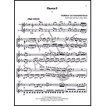 Six Duos for two violins; Maddalena Lombardini Sirmen (Hildegard)