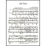 Kol Nidrei, op. 47, viola and piano; Max Bruch (Carl Fischer)