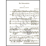 Der Schwanendreher, viola and piano; Paul Hindemith