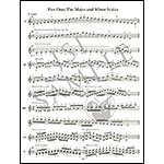 Two Octave Scales and Bowings for Violin; Susan Brown (Tempo Press)