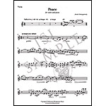 Peace for Violin and Piano; Jessie Montgomery