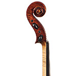 16 1/2" Natale Carletti viola, Pieve di Cento 1950