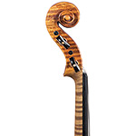 Enrico A. DiTommaso violin from the workshop of John Dailey, 2021