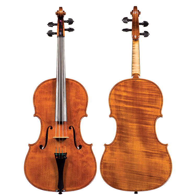 16" Kile Hill viola, McMinnville, Oregon 2015