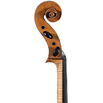 William Whedbee cello, Chicago 2007