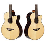 Echo Bridge EB550CE Cutaway Grand Concert Guitar, Solid Spruce Top with Fishman Pickup and Hard Case