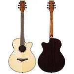 Echo Bridge EB550CE Cutaway Grand Concert Guitar, Solid Spruce Top with Fishman Pickup and Hard Case