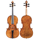 16 3/8" Catalin Quercinola viola, Eudora, KS 2018