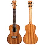 Cordoba 20CM Concert Ukulele