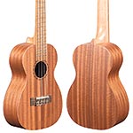 Echo Bridge EB10 Concert Ukulele with Gig Bag