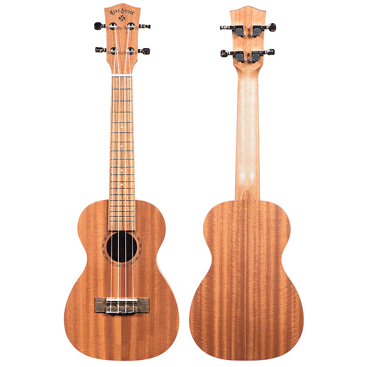 Echo Bridge EB10 Concert Ukulele with Gig Bag