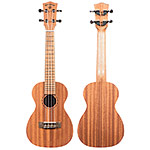 Echo Bridge EB10 Concert Ukulele with Gig Bag