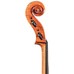 Alessandro Firenze A450 Cello