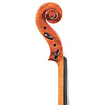 16" Alessandro Firenze A450 Viola Outfit