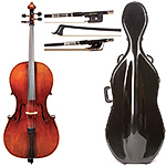 7/8 Rudoulf Doetsch Cello Outfit