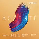 Ascente 4/4 Violin String Set: Medium