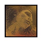 Evah Pirazzi Gold Violin E String - Stainless Steel: Medium with Loop End