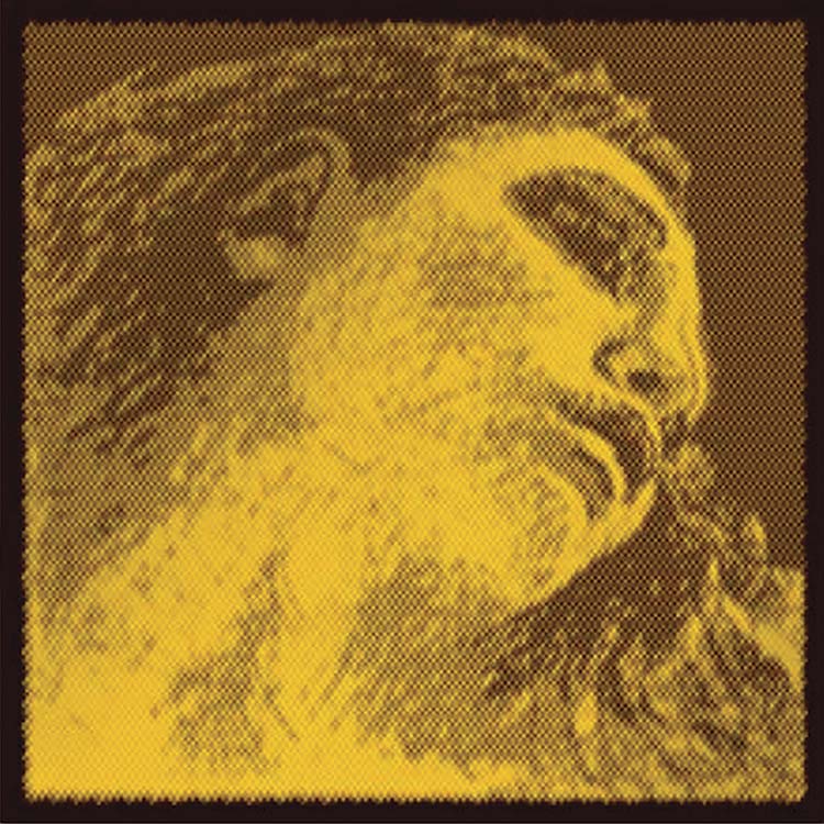 Evah Pirazzi Gold Violin String Set - Medium: Silver G with Loop End E