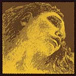 Evah Pirazzi Gold Violin String Set - Medium: Silver G with Loop End E